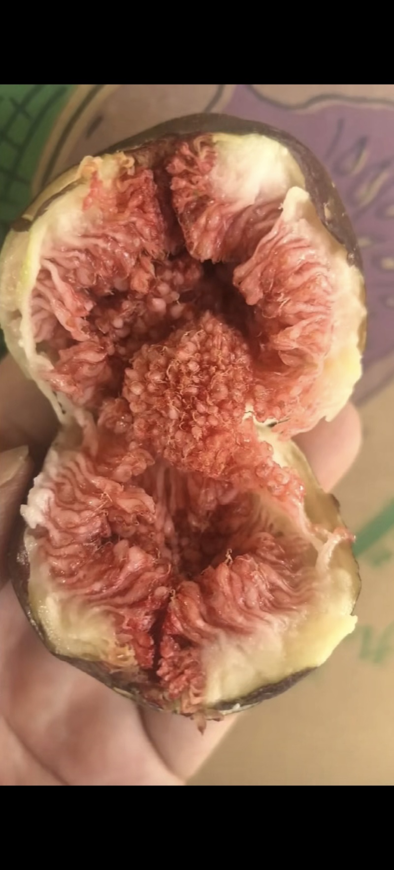 波姬红无花果