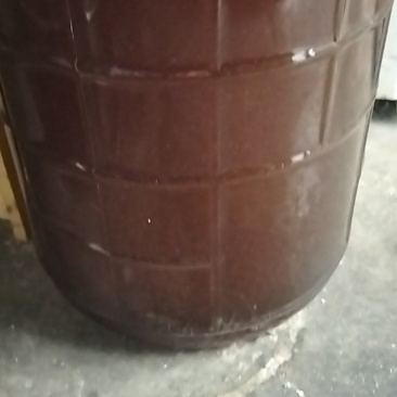 广东土蜂蜜