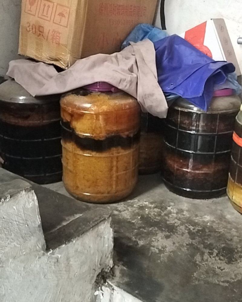 广东土蜂蜜