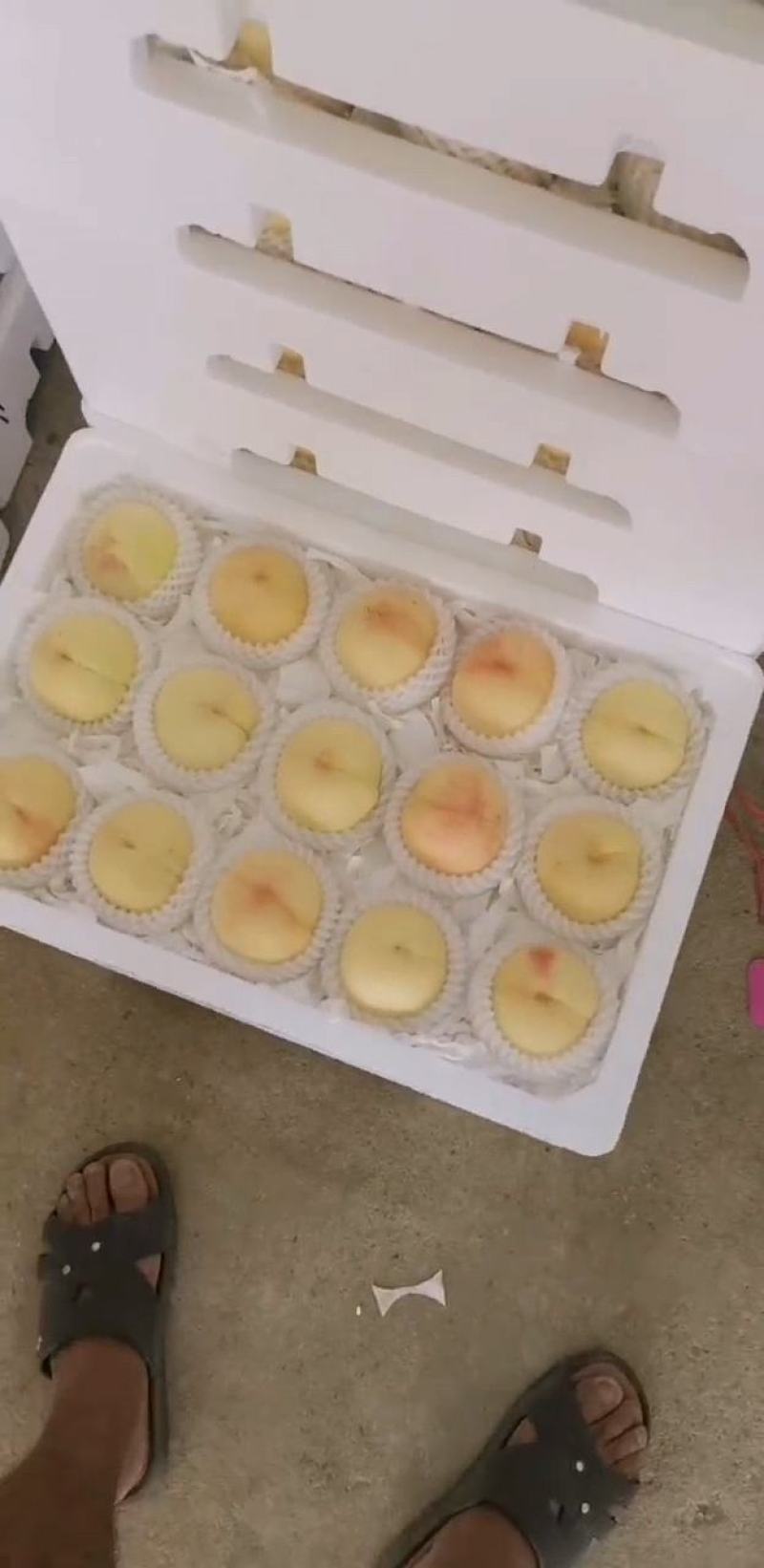 水蜜桃