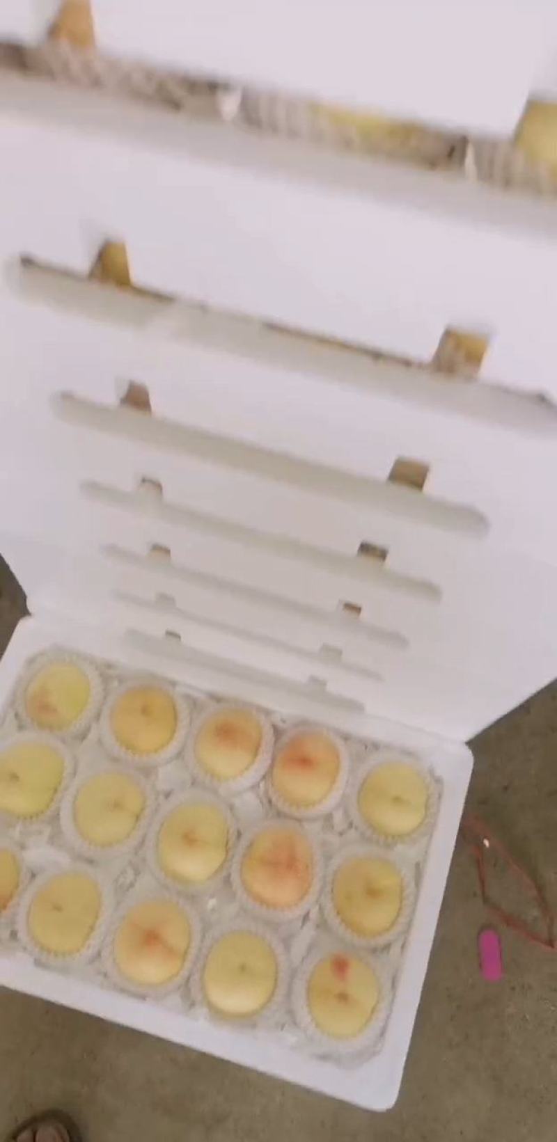 水蜜桃