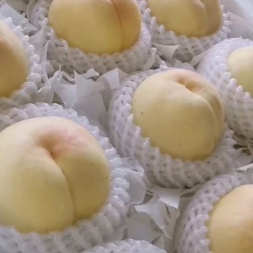 水蜜桃