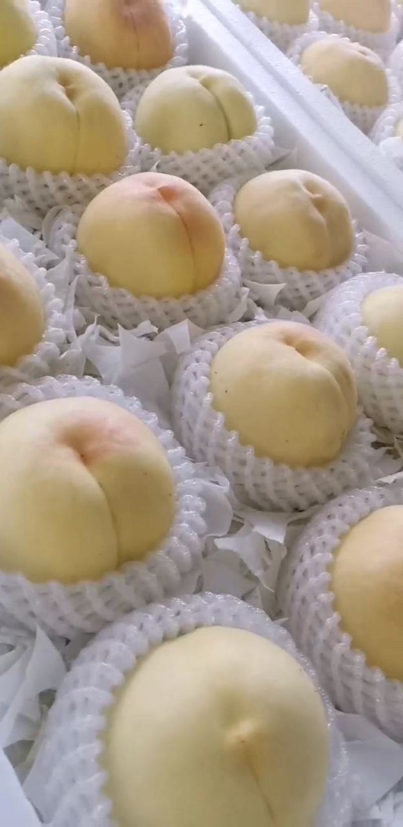 水蜜桃