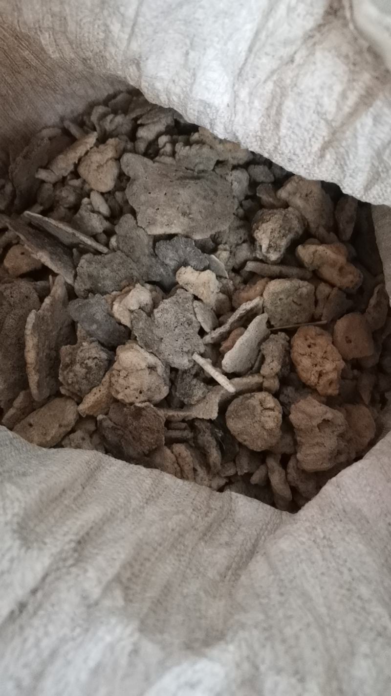 紫霄花