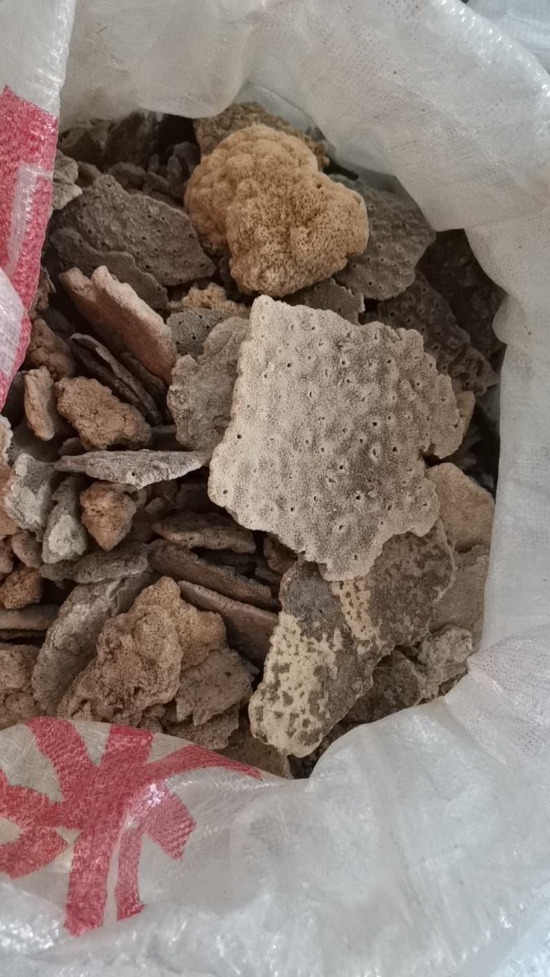 紫霄花