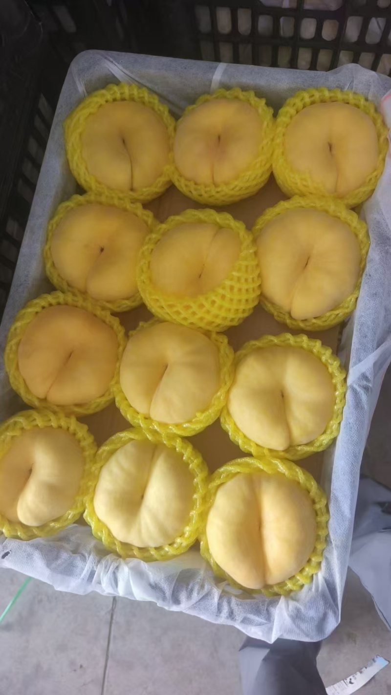 山西运城临猗毛蟠桃🍑