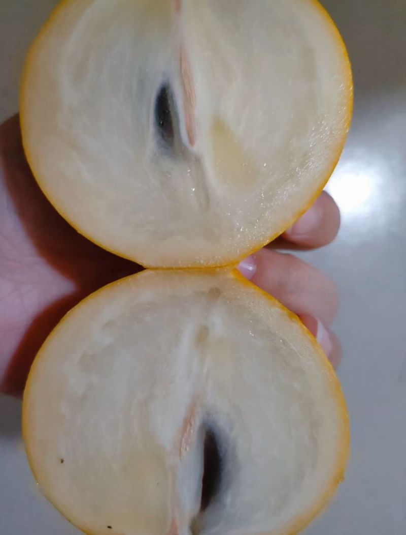 自家种植现摘现发
