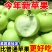 青苹果正宗新鲜应季孕妇水果鲜采脆甜酸苹果小富士电商一件代发