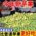 青苹果正宗新鲜应季孕妇水果鲜采脆甜酸苹果小富士电商一件代发