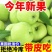 青苹果正宗新鲜应季孕妇水果鲜采脆甜酸苹果小富士电商一件代发