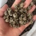 产地直发猫爪草各种规格黑皮尖爪黄皮尖爪统货