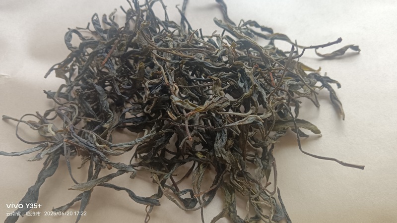 普洱生茶