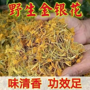 金银花