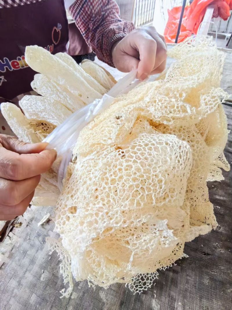 井冈山竹荪种植户自产自销柴火烘干无硫熏有大量现货欢迎老板咨询