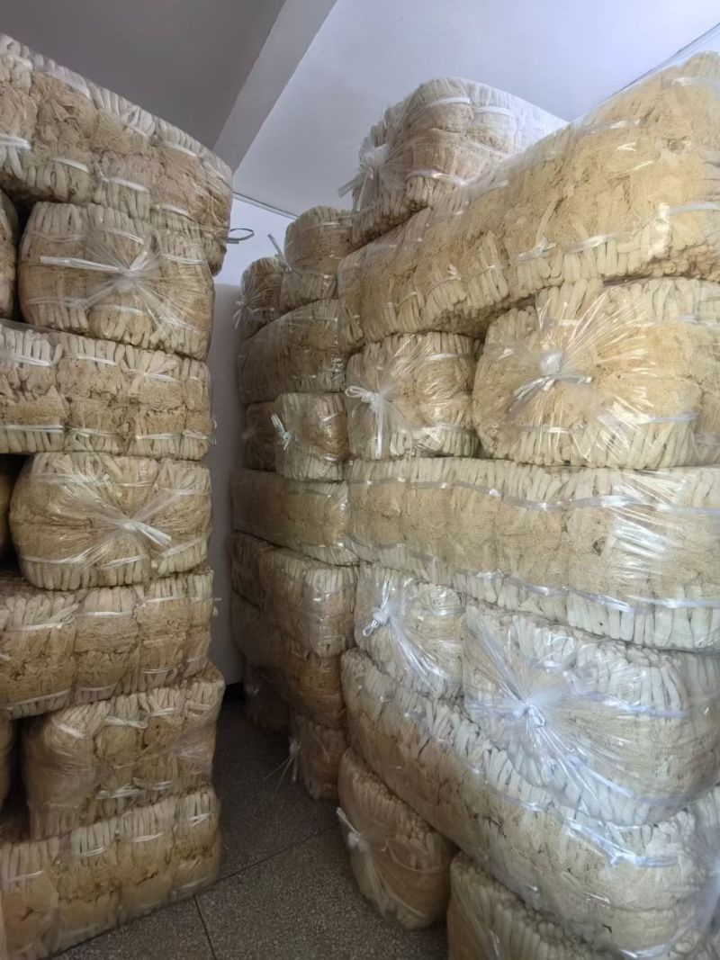 井冈山竹荪种植户自产自销柴火烘干无硫熏有大量现货欢迎老板咨询