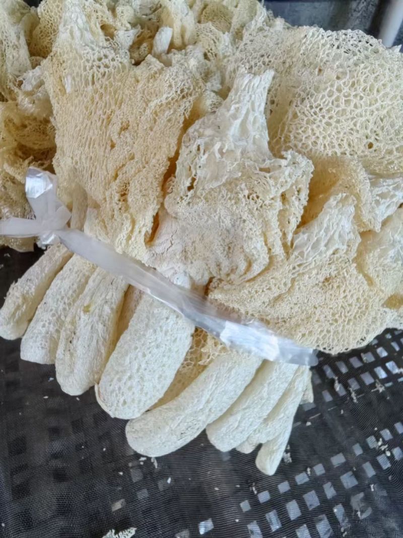 井冈山竹荪种植户自产自销柴火烘干无硫熏有大量现货欢迎老板咨询