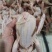新鲜乳鸽