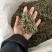 普洱茶