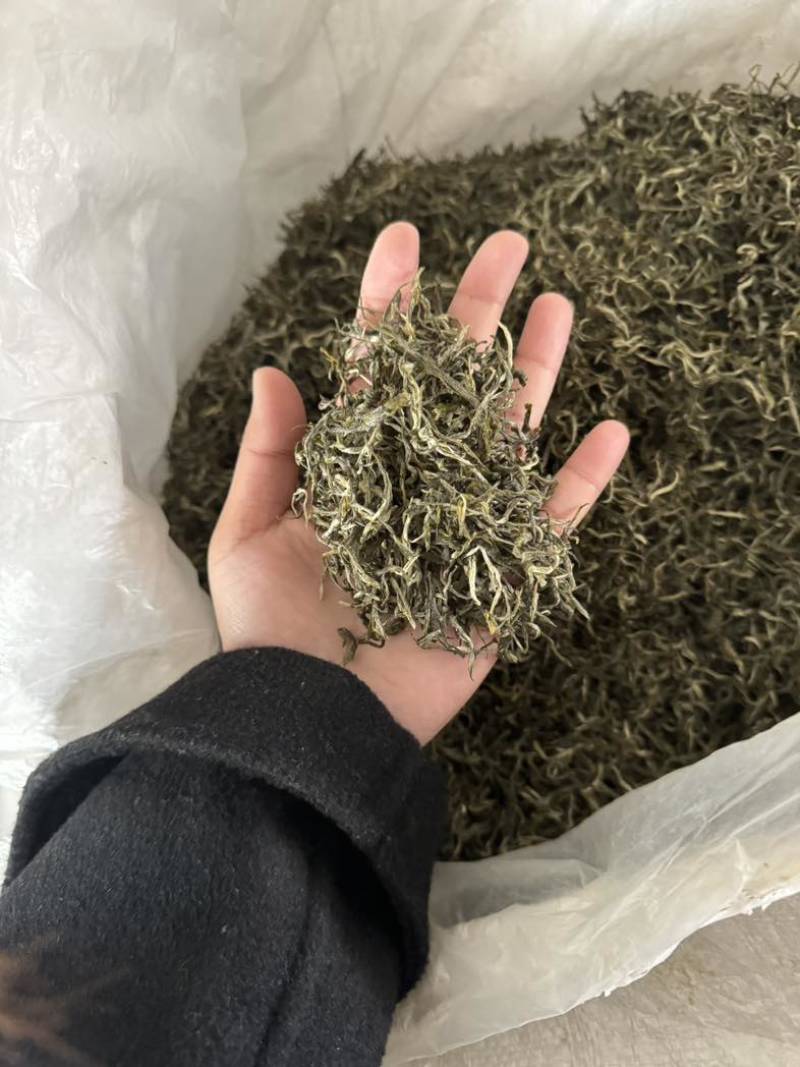 普洱茶