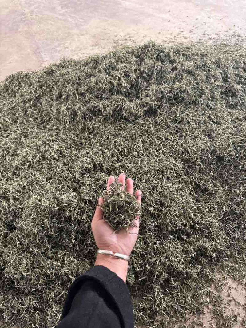 普洱茶