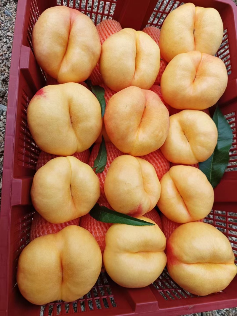 桃