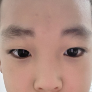 药材紫萱