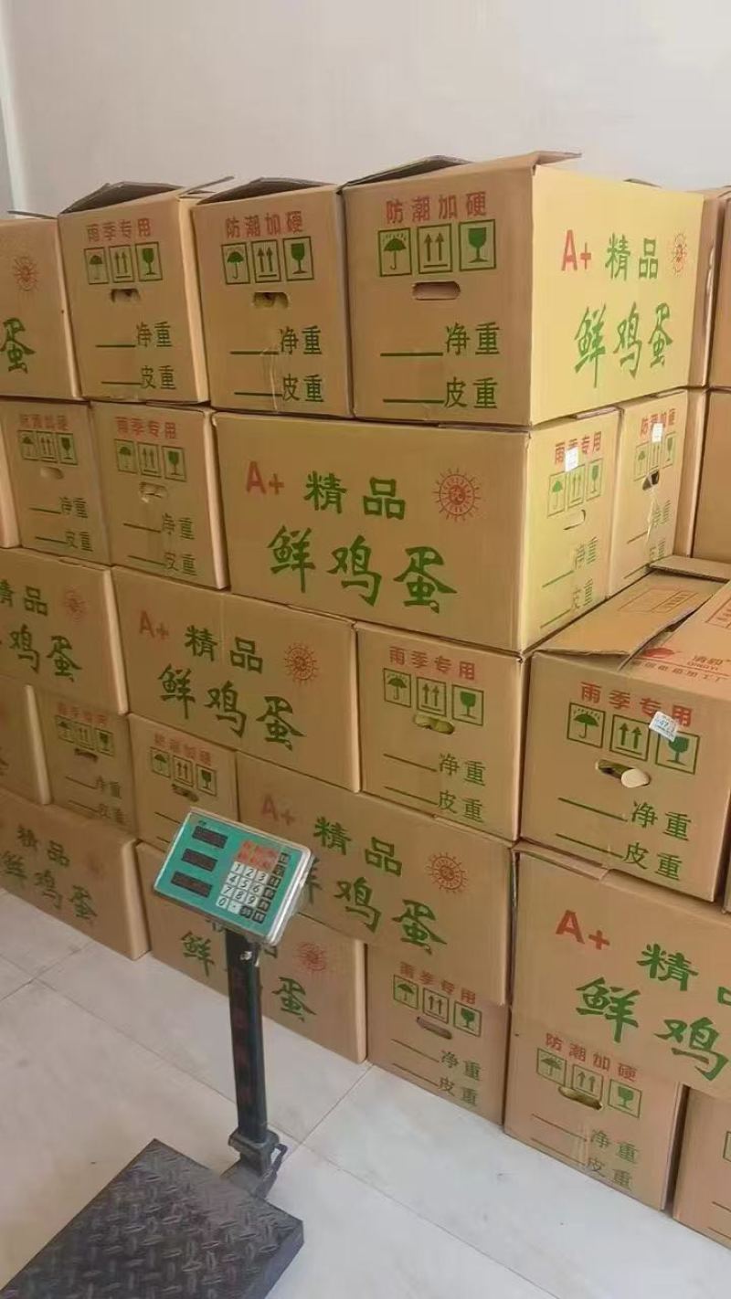 精品土鸡蛋，一手货源，新鲜鸡蛋，品质优良，。