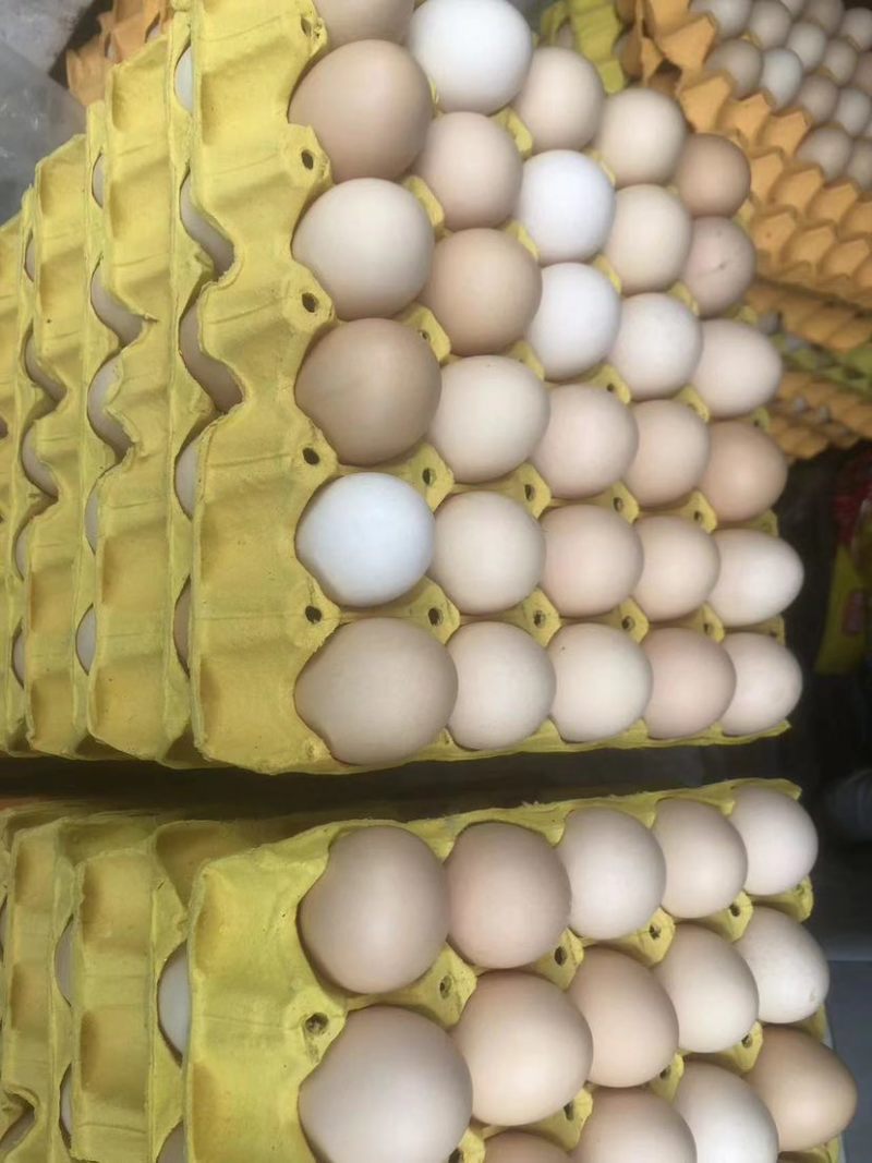 精品土鸡蛋，一手货源，新鲜鸡蛋，品质优良，。