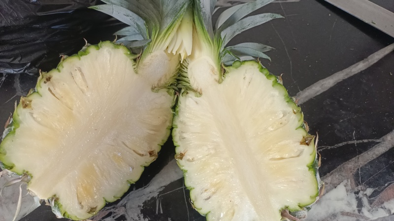 海南冬蜜凤梨中果