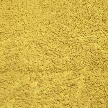 高质量蒲黄