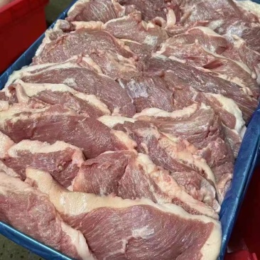 母猪精修去皮槽头肉新开检疫