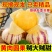 云南石林人参果，可一件代发，批发