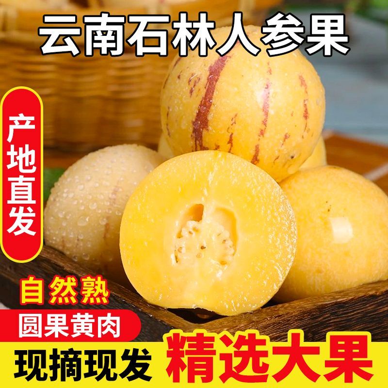 云南石林人参果，可一件代发，批发