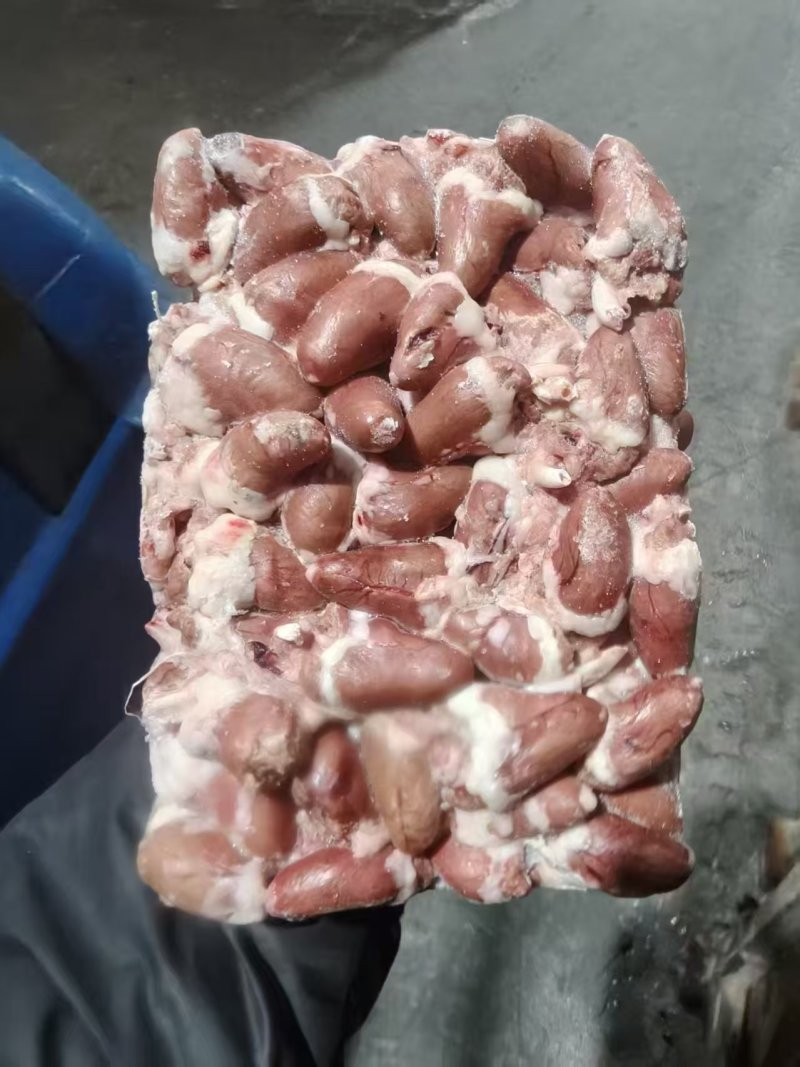 肉鸡心13吨