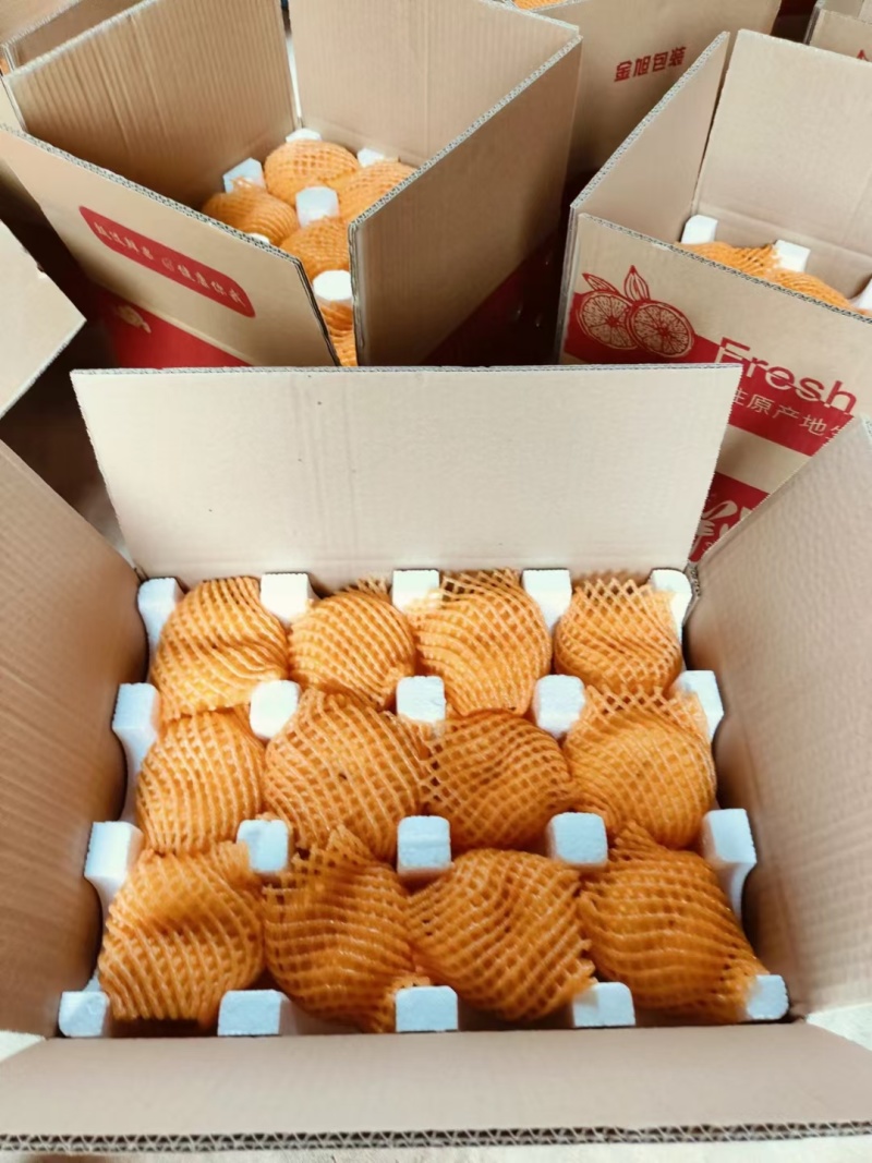 潘涛，黄桃，包邮十斤起步