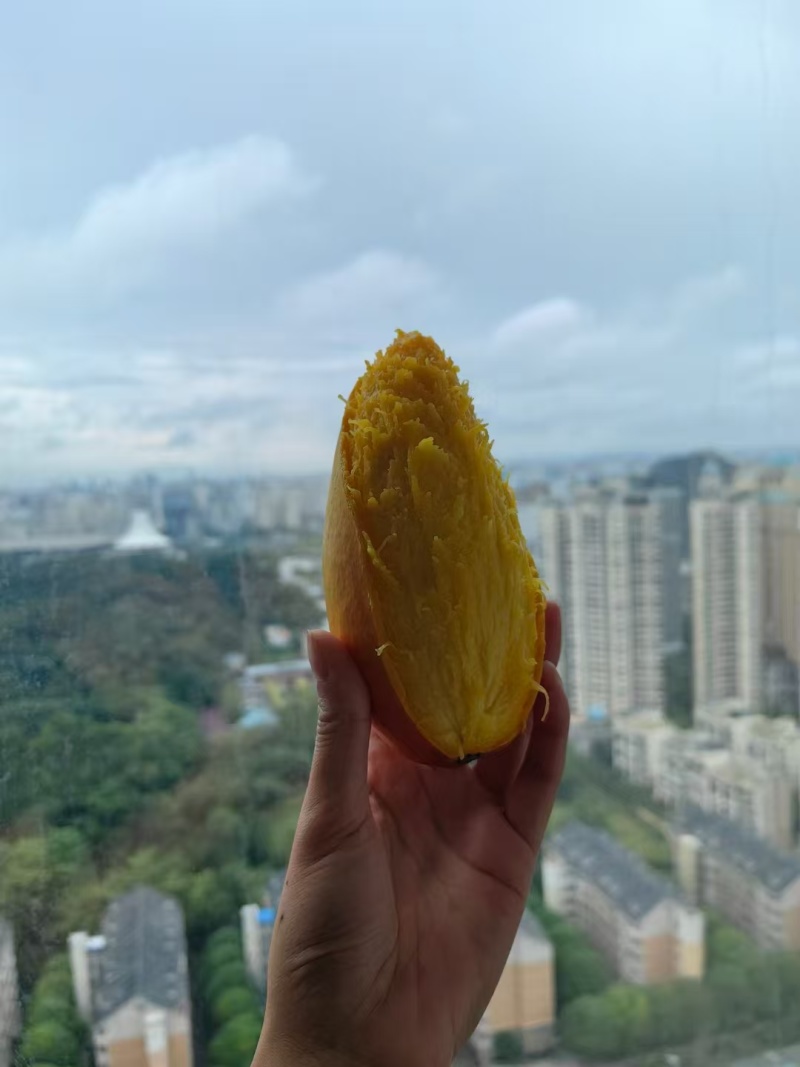 百色台农芒果