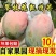 四川攀枝花凯特芒果批发，支持电商一件代发
