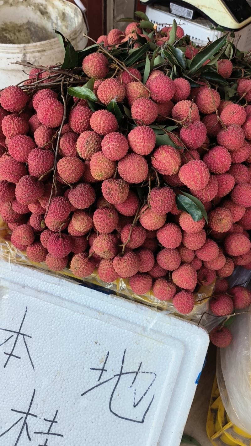 增城桂味荔枝