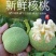 青皮核桃