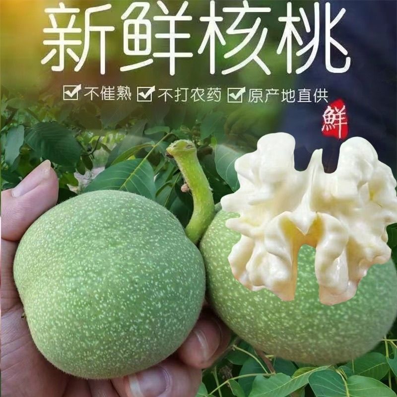 青皮核桃