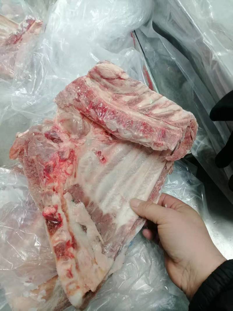 肥猪鲜分去颈去翅前排5-7片，新货新开，临沂5吨