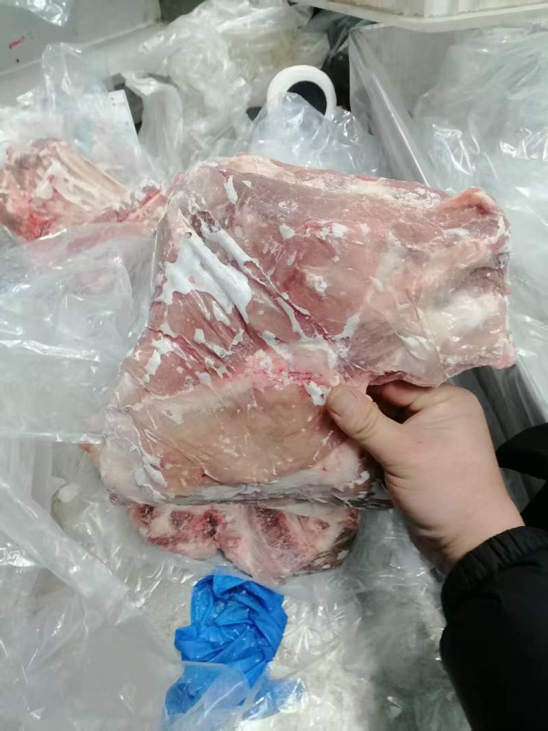 肥猪鲜分去颈去翅前排5-7片，新货新开，临沂5吨