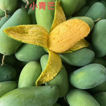 椰香芒，小青芒