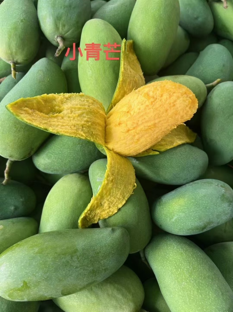 椰香芒，小青芒