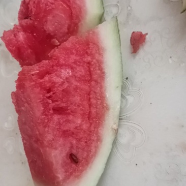 黑全王西瓜