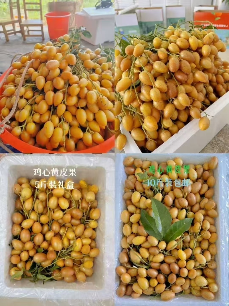 黄皮果