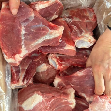 鲜分扇骨带肉55左右鲜品分割新货厂家直销
