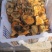 甘肃高原纵树菌，松乳菇