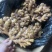 贵州二黄姜
