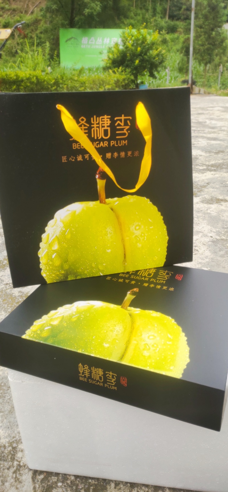 贵州六马蜂糖李，零售，批发都可以，有要合作老板来了